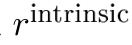 rintrinsic